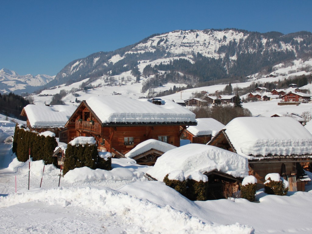 Location chalet à Praz sur Arly