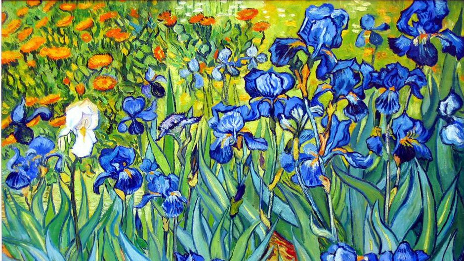 13-IRIS-Van-Gogh1-1024x826