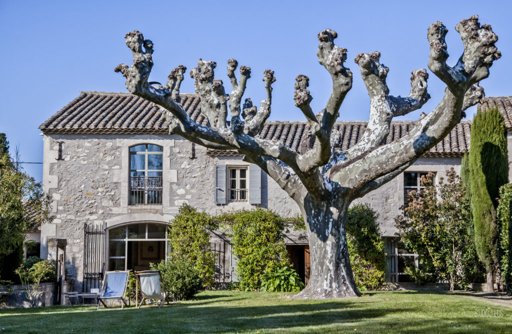 Location vacances Alpilles, Saint Rémy de Provence